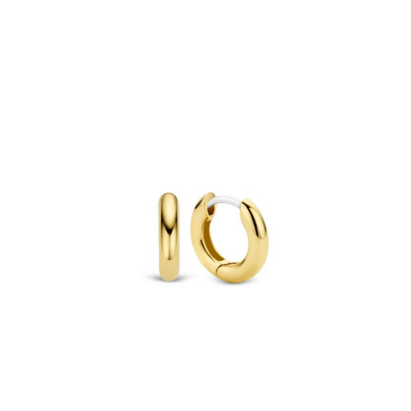 TI SENTO - Milano Earrings