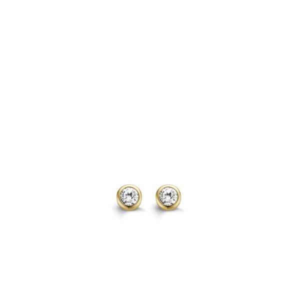 TI SENTO - Milano Earrings