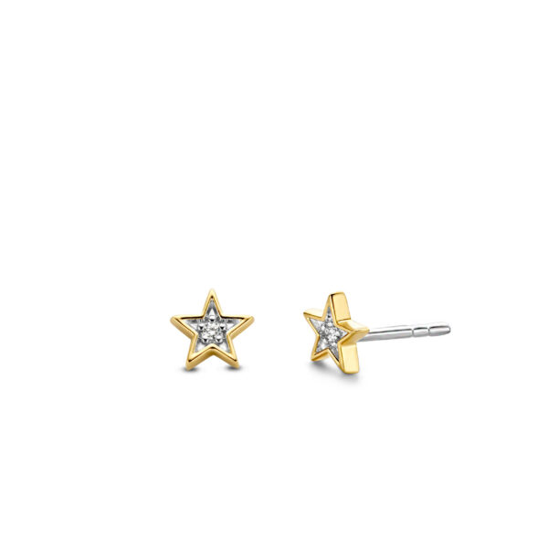 TI SENTO - Milano Earrings