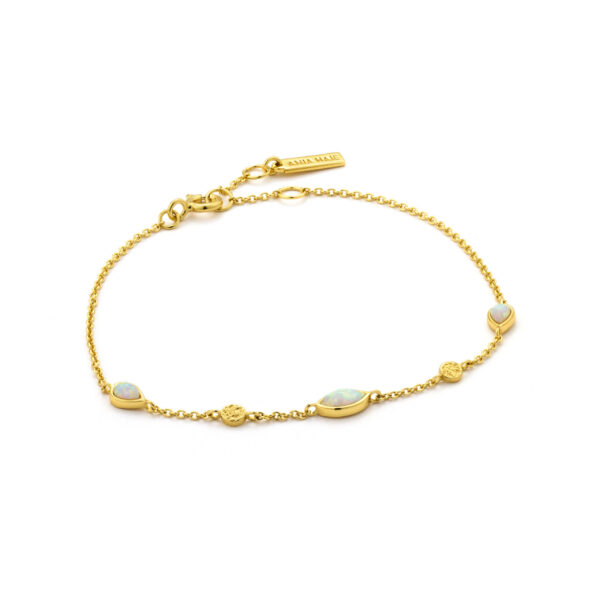 Ania Haie Bracelet B014-02G