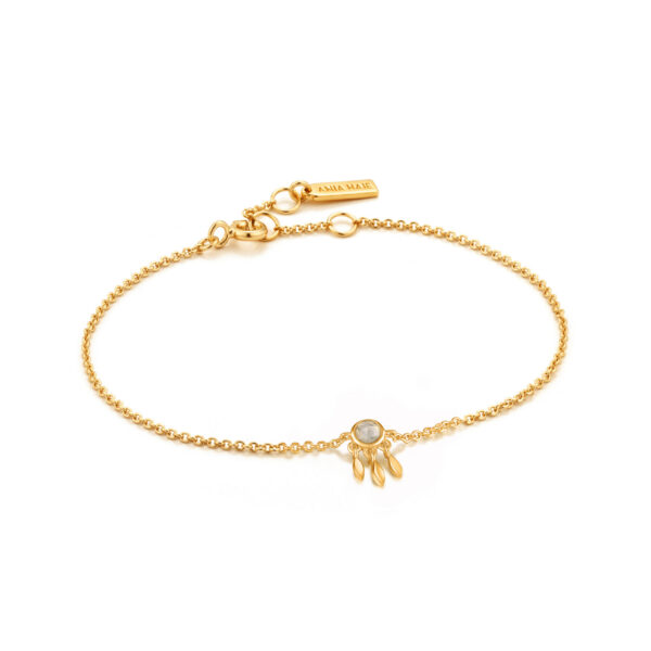 Ania Haie Bracelet B026-02G