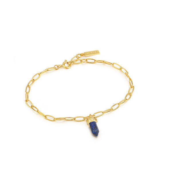 Ania Haie Bracelet B039-02G-L