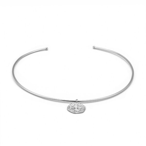 Ania Haie Necklace C009-01H