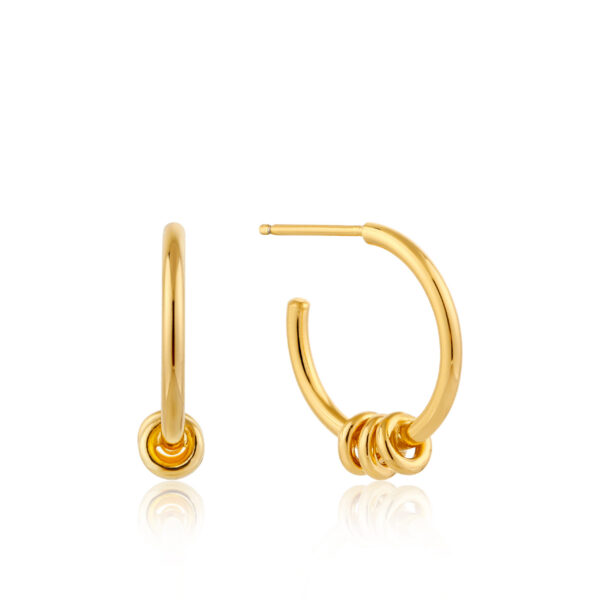 Ania Haie Earrings E002-05G