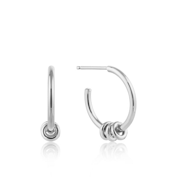 Ania Haie Earrings E002-05H