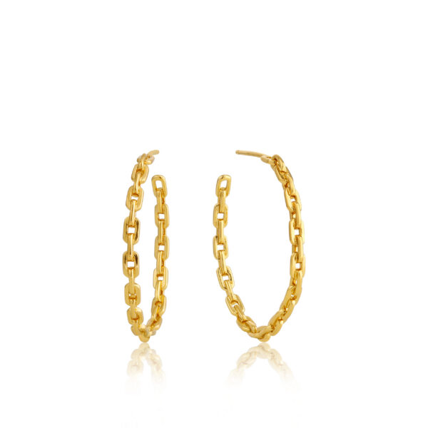 Ania Haie Earrings E004-01G