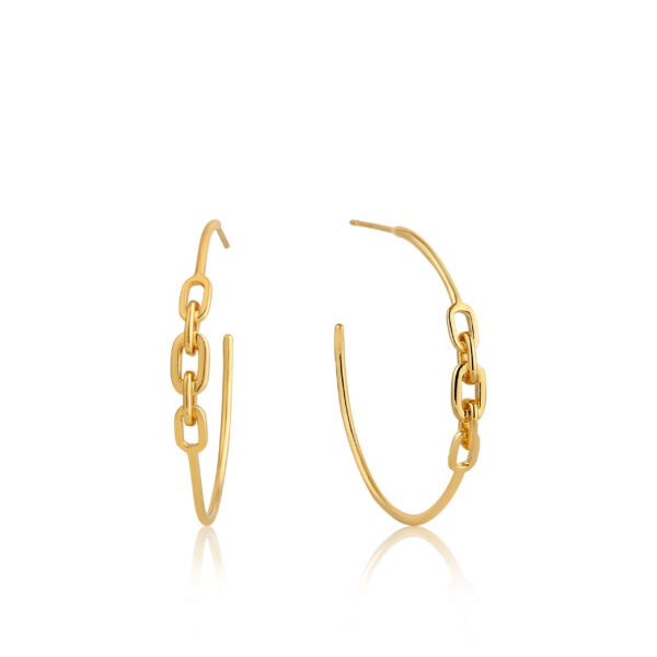 Ania Haie Earrings E004-03G