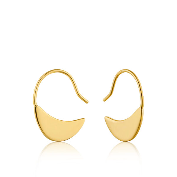 Ania Haie Earrings E005-06G