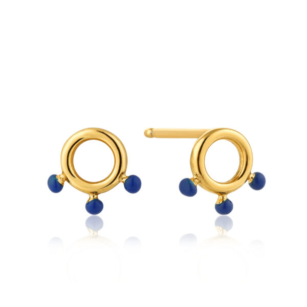 Ania Haie Earrings E006-04G