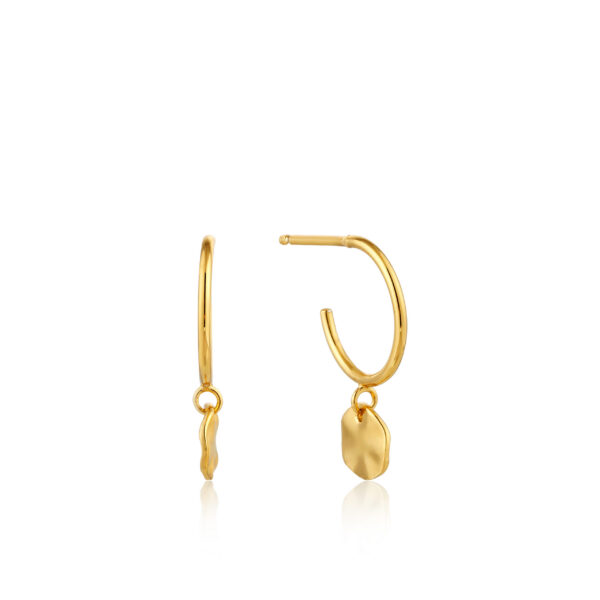 Ania Haie Earrings E007-03G