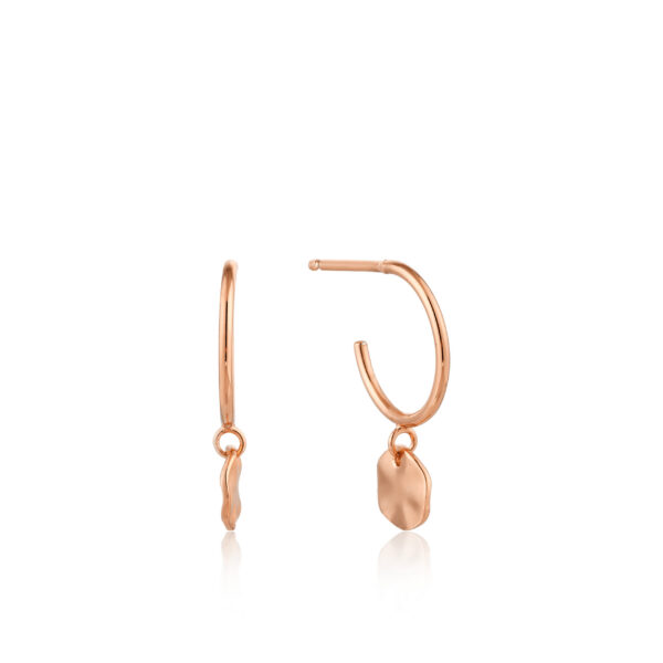 Ania Haie Earrings E007-03R