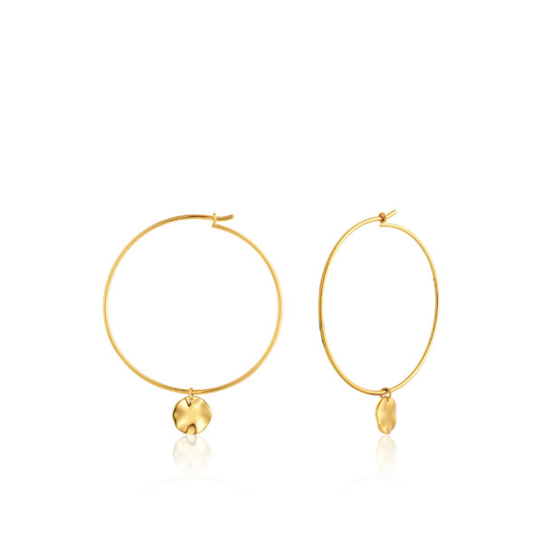 Ania Haie Earrings E007-04G