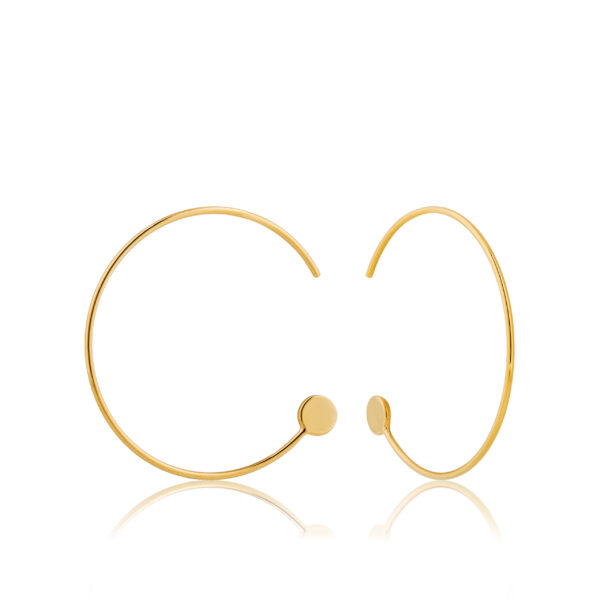 Ania Haie Earrings E008-14G