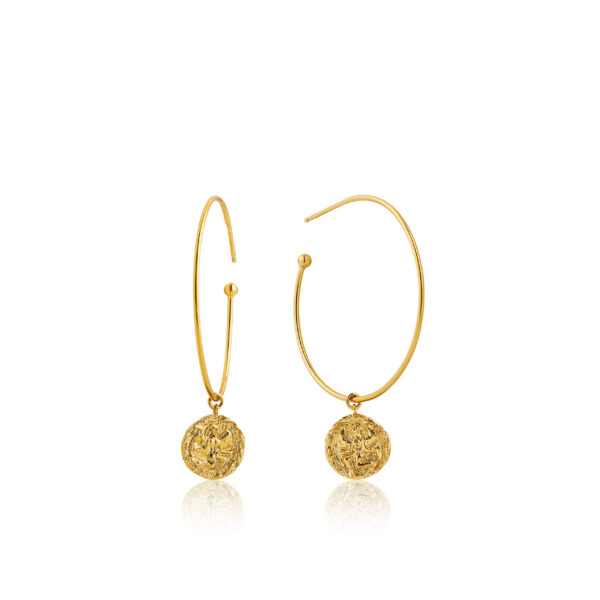 Ania Haie Earrings E009-03G