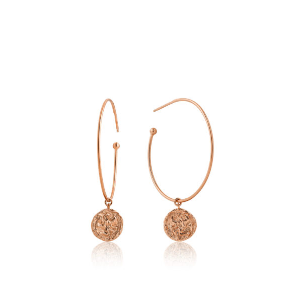 Ania Haie Earrings E009-03R