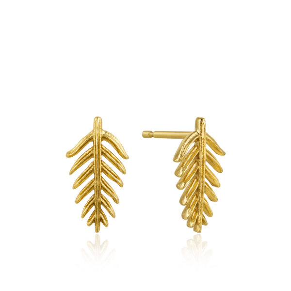 Ania Haie Earrings E011-03G