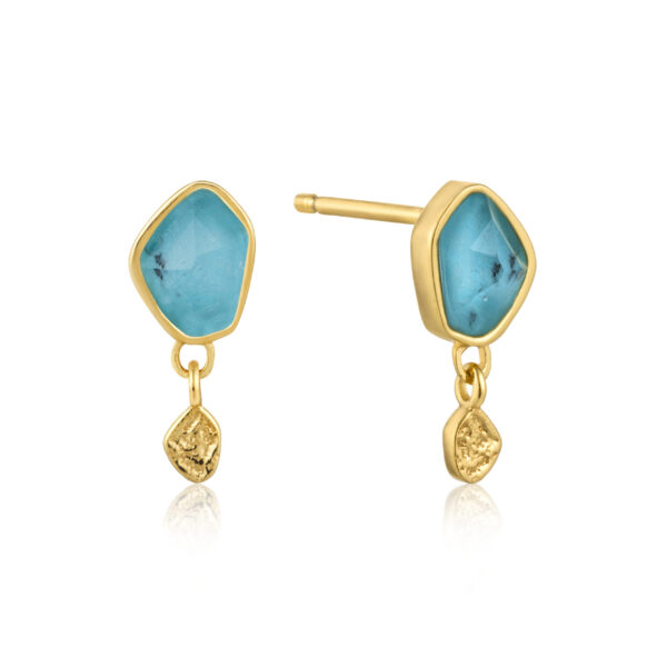 Ania Haie Earrings E014-01G