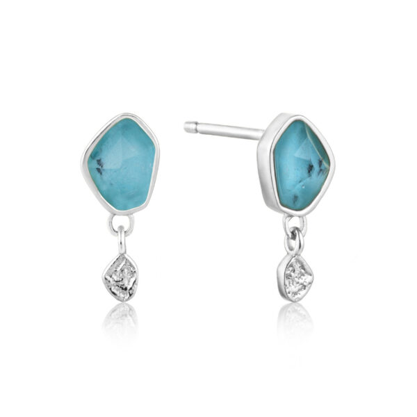 Ania Haie Earrings E014-01H