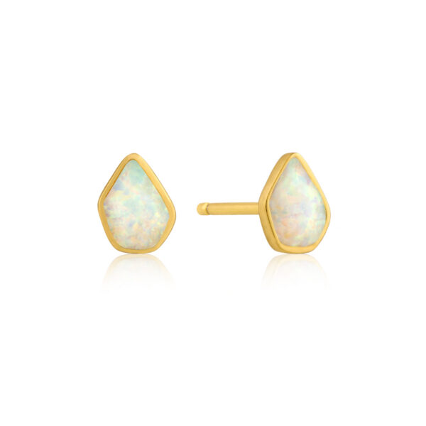 Ania Haie Earrings E014-03G