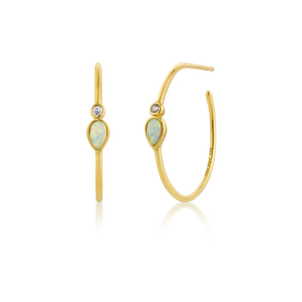 Ania Haie Earrings E014-04G