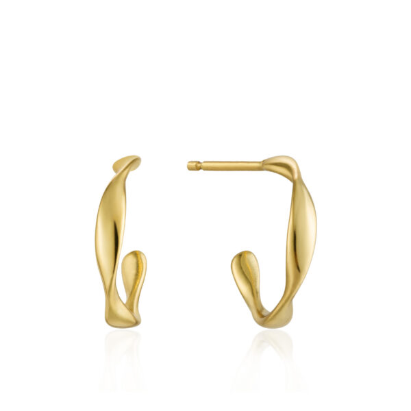 Ania Haie Earrings E015-01G