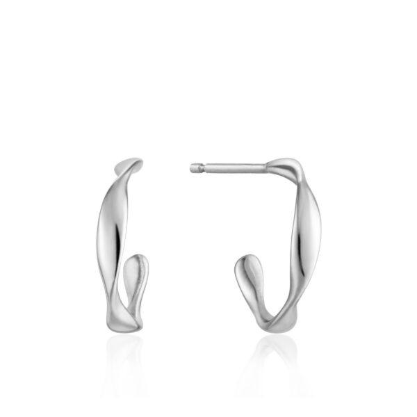 Ania Haie Earrings E015-01H