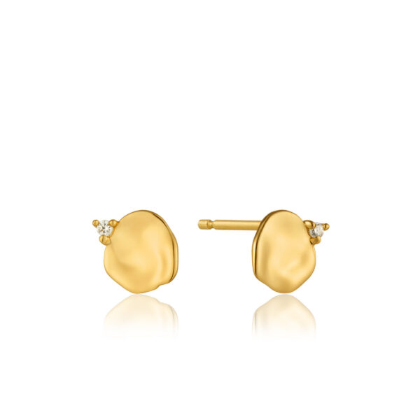Ania Haie Earrings E017-01G