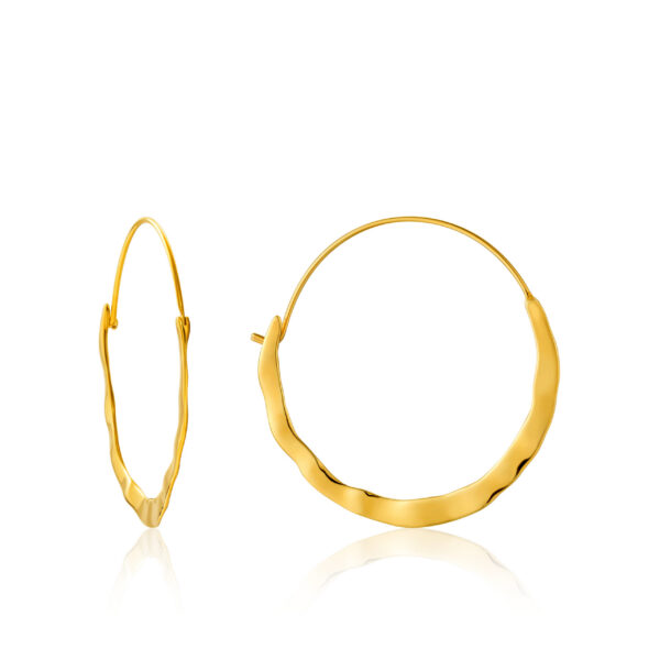 Ania Haie Earrings E017-07G
