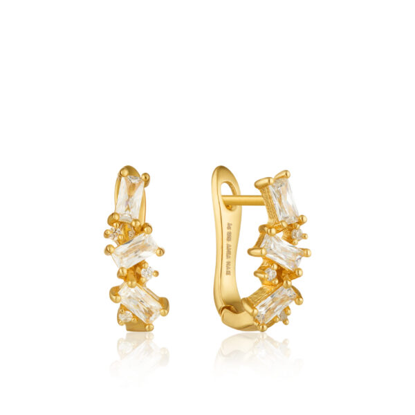 Ania Haie Earrings E018-03G