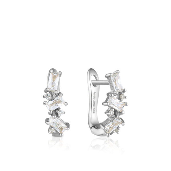 Ania Haie Earrings E018-03H