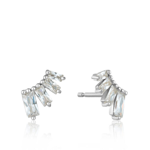 Ania Haie Earrings E018-04H