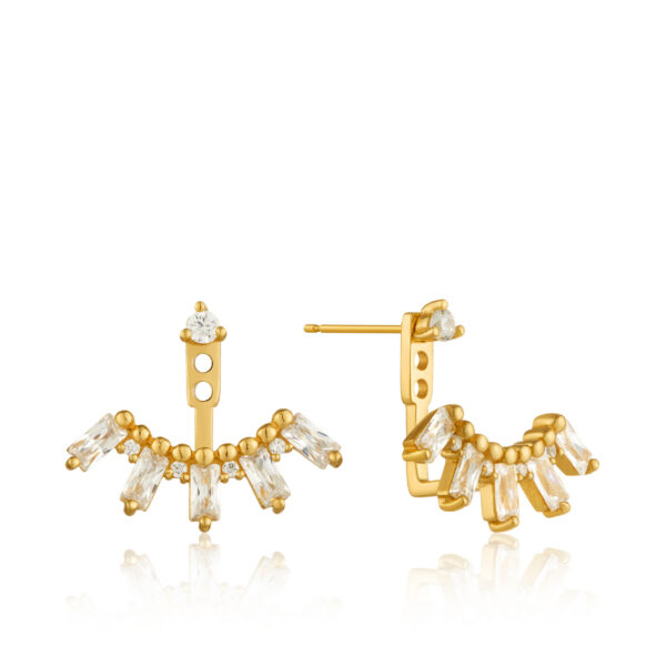 Ania Haie Earrings E018-13G
