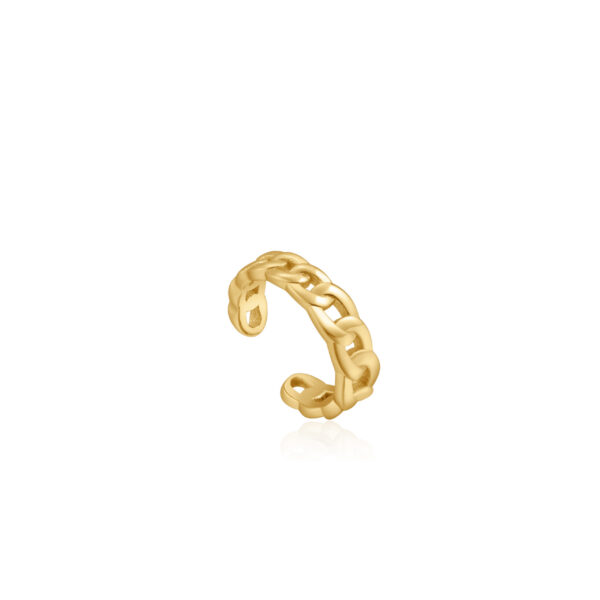 Ania Haie Earrings E021-05G