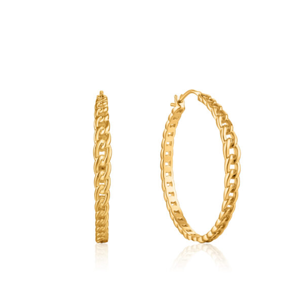 Ania Haie Earrings E021-06G