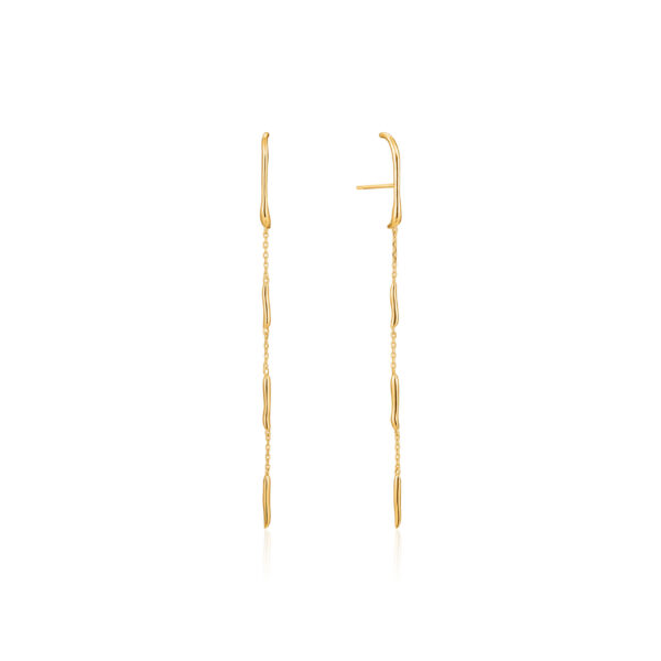 Ania Haie Earrings E023-17G