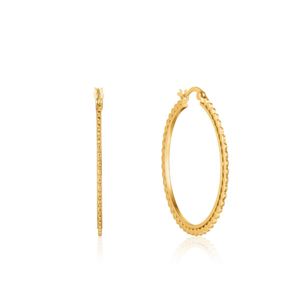 Ania Haie Earrings E023-21G