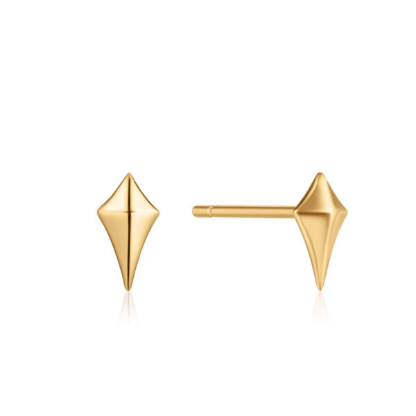 Ania Haie Earrings E023-23G