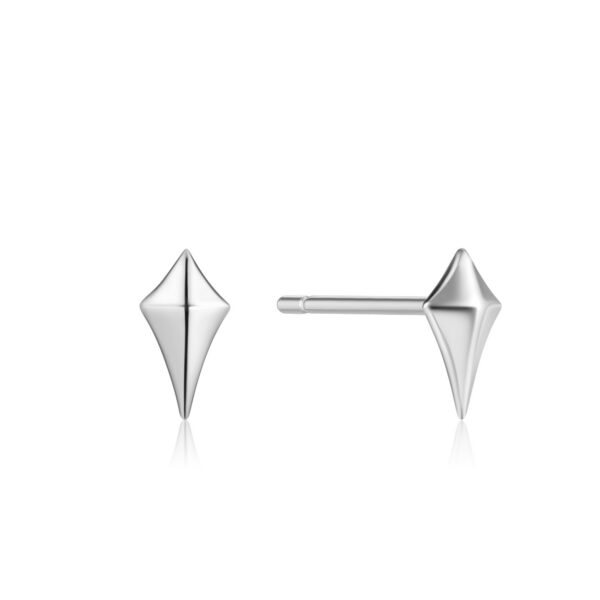 Ania Haie Earrings E023-23H