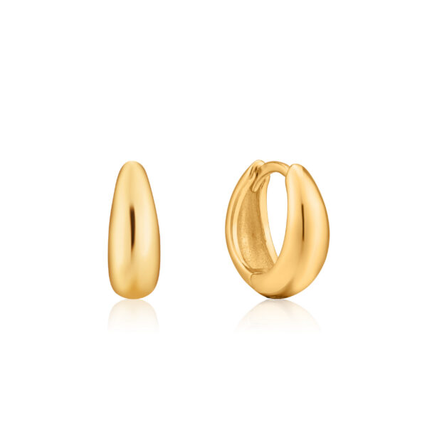 Ania Haie Earrings E024-03G