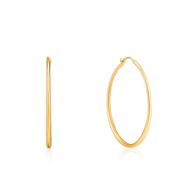 Ania Haie Earrings E024-04G