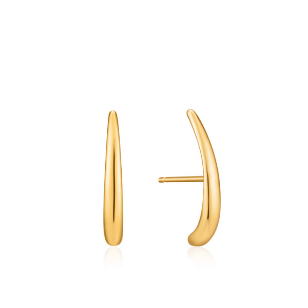 Ania Haie Earrings E024-05G