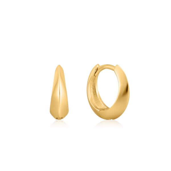 Ania Haie Earrings E025-05G