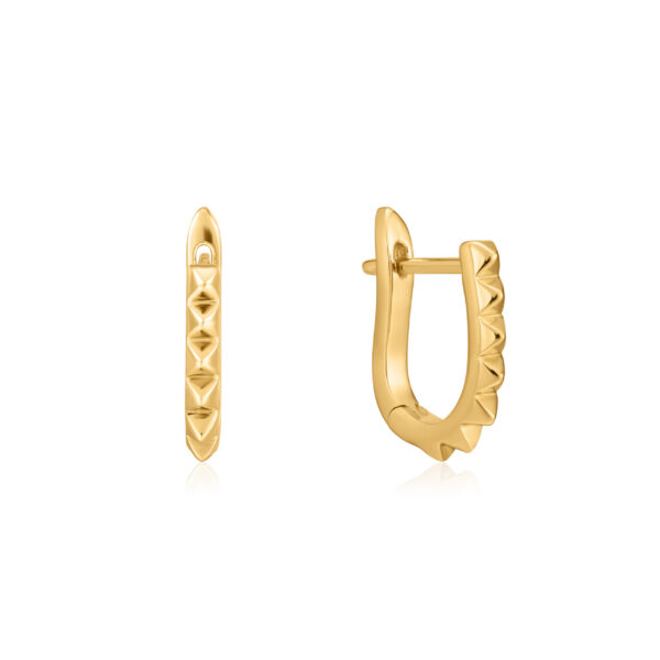 Ania Haie Earrings E025-07G