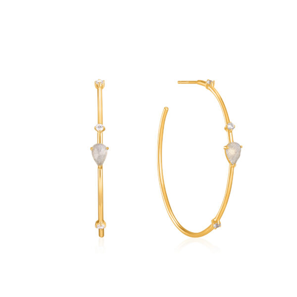 Ania Haie Earrings E026-01G
