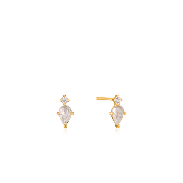Ania Haie Earrings E026-02G