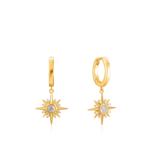Ania Haie Earrings E026-04G