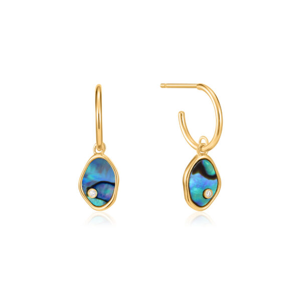 Ania Haie Earrings E027-01G