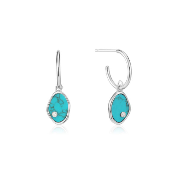 Ania Haie Earrings E027-01H