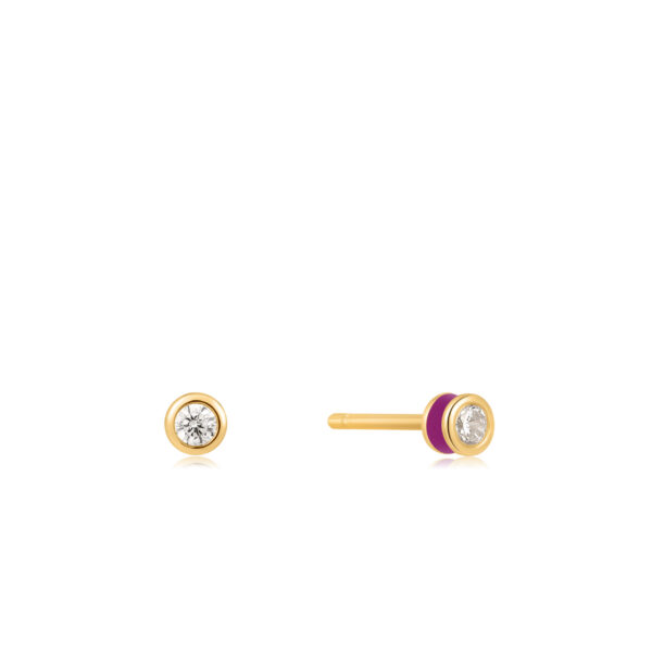 Ania Haie Earrings E028-01G-R