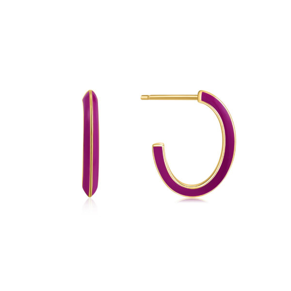 Ania Haie Earrings E028-04G-R